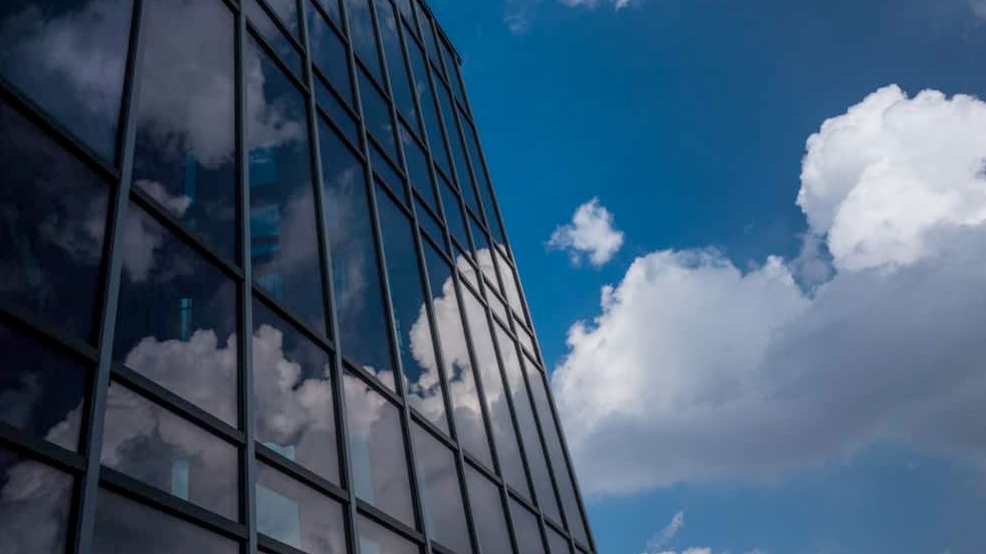 Commercial Window Tinting