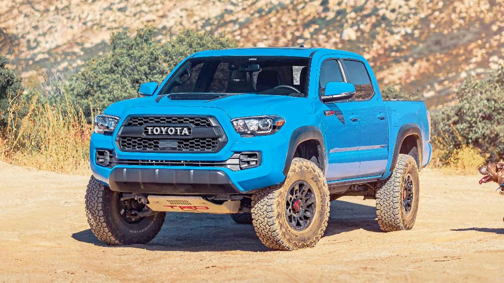 Off-Road Paint Protection