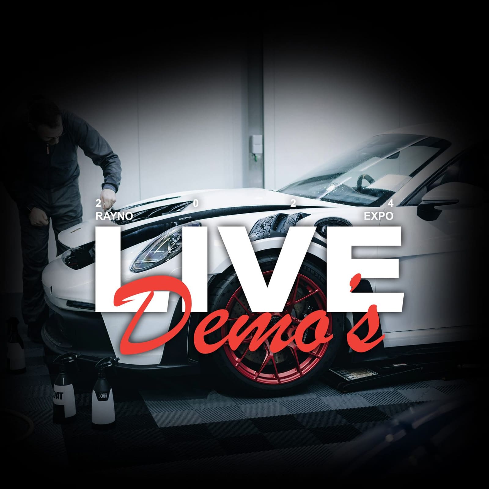Rayno Live Demo