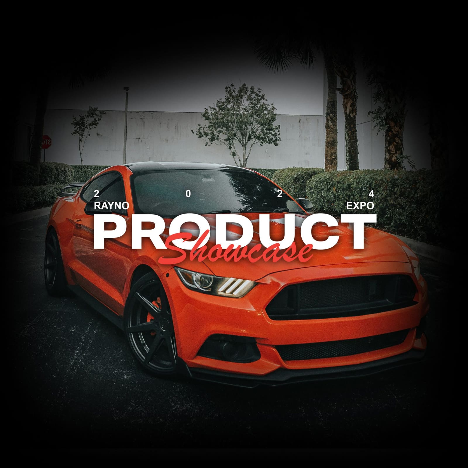 Rayno Product Showcase